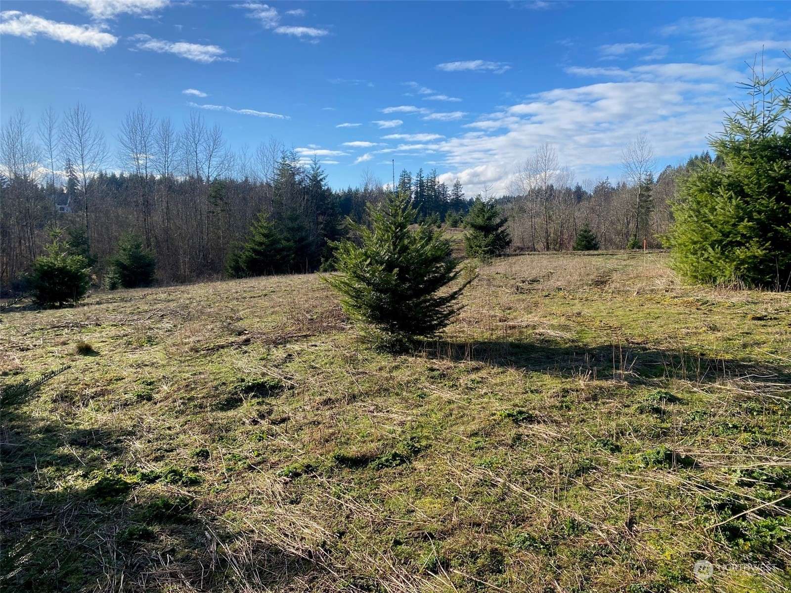 Chehalis, WA 98532,0 Lot 2 Brockway RD