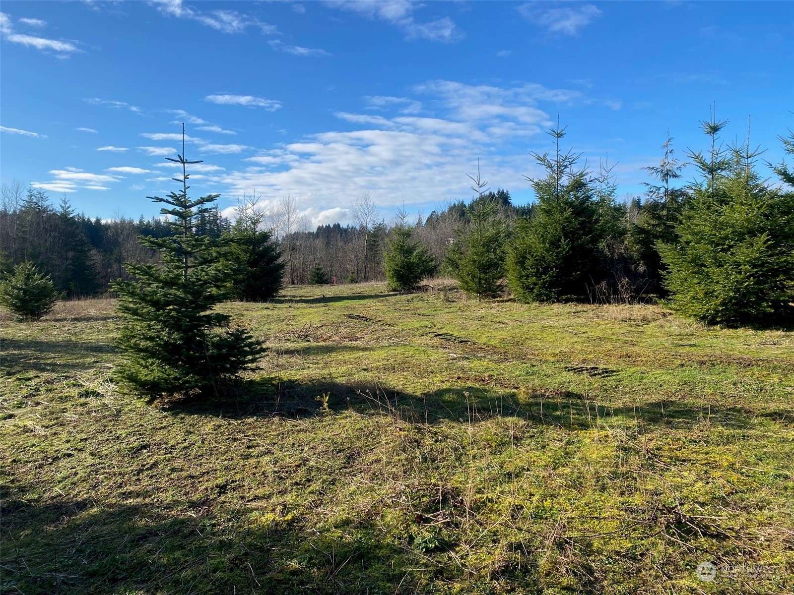 Chehalis, WA 98532,0 Lot 2 Brockway RD