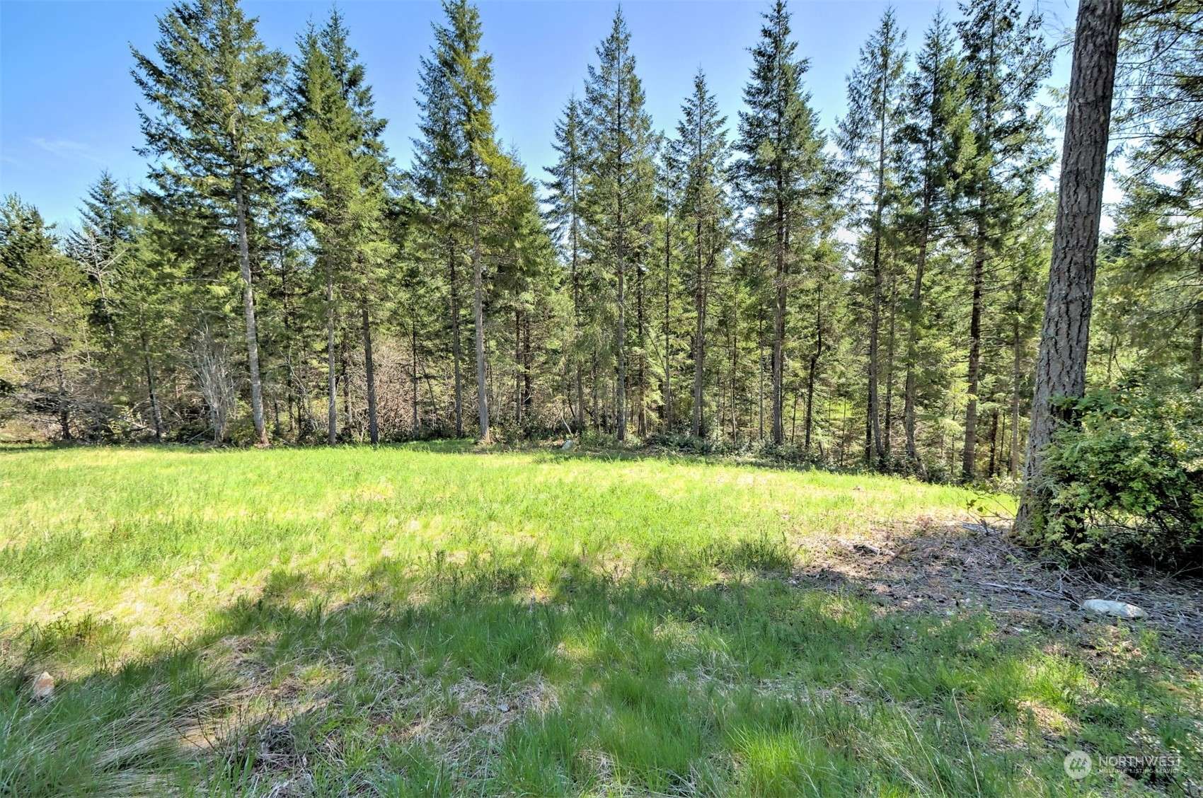 Shelton, WA 98584,161 E Lexington PL