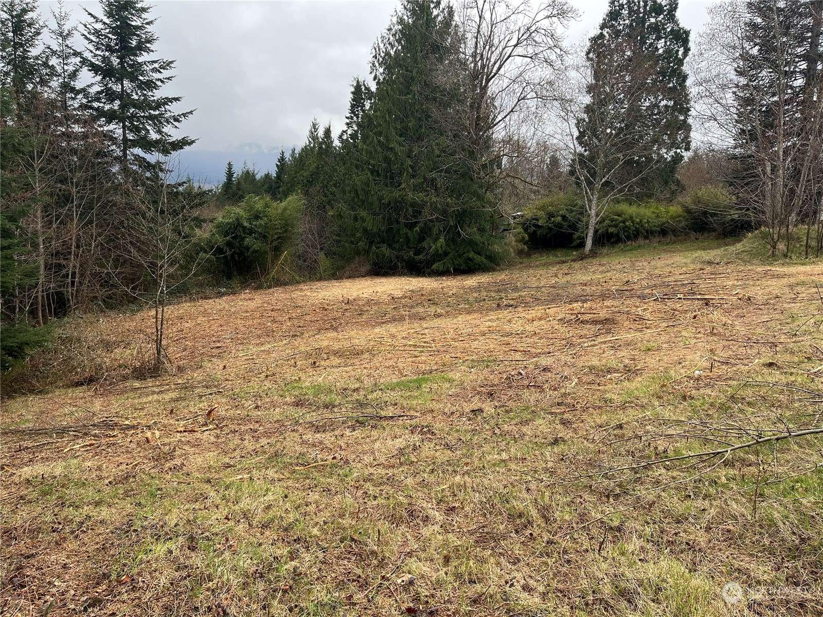 Cathlamet, WA 98612,56 Fern Hill RD #Lot 2