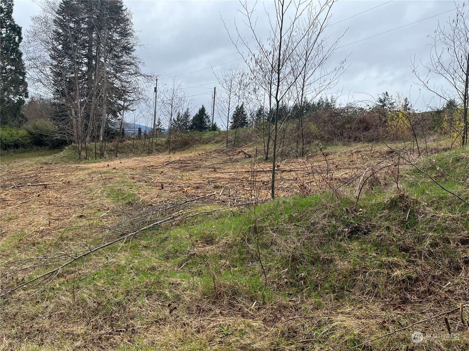 Cathlamet, WA 98612,56 Fern Hill RD #Lot 2