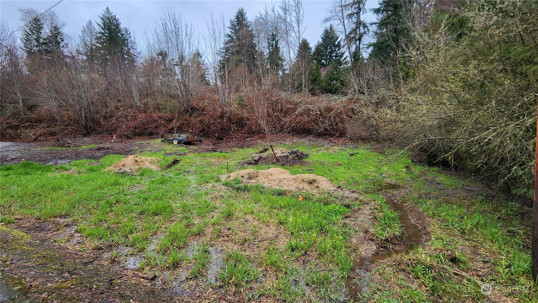 Vader, WA 98593,0 Olequa Ct