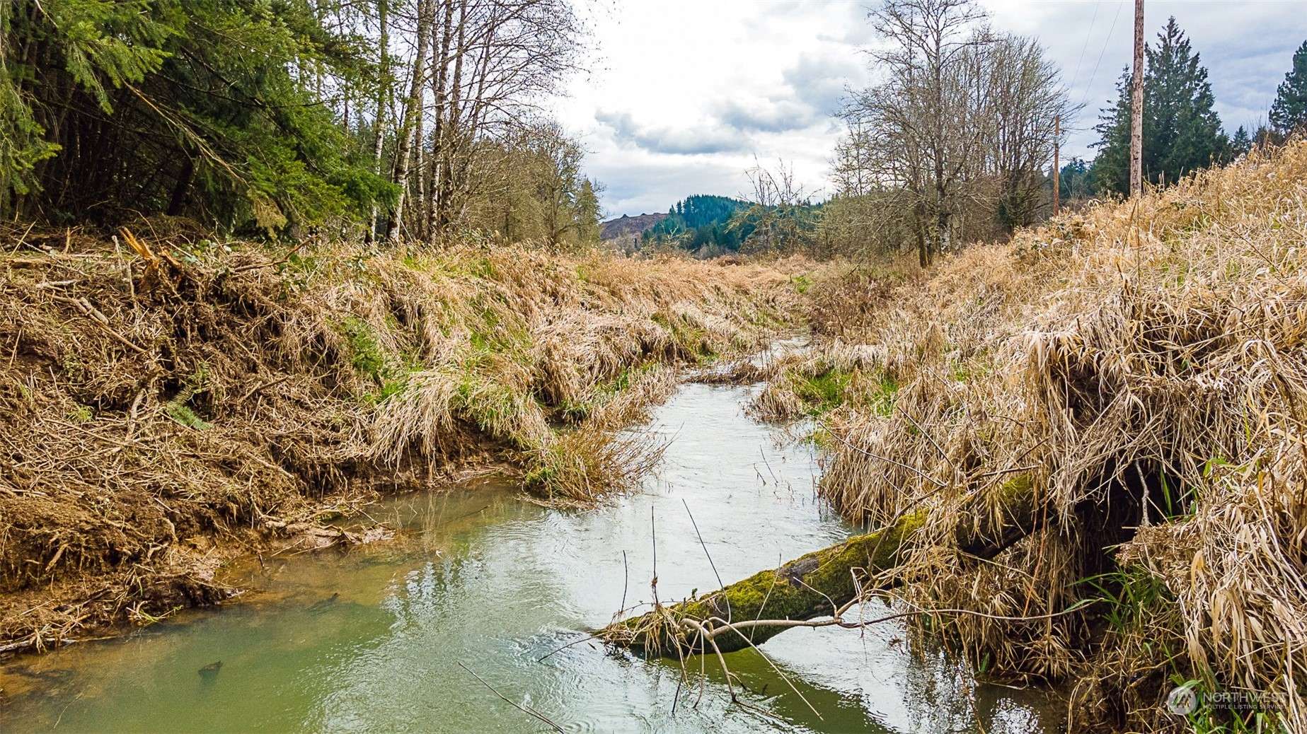 Centralia, WA 98531,0 00 Proffitt RD