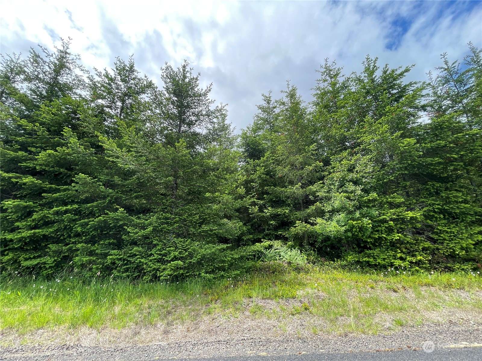 Toutle, WA 98649,0 NKA Finkas RD