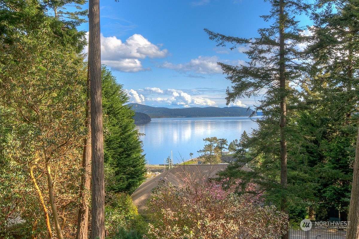 Orcas Island, WA 98245,107 Grove ST