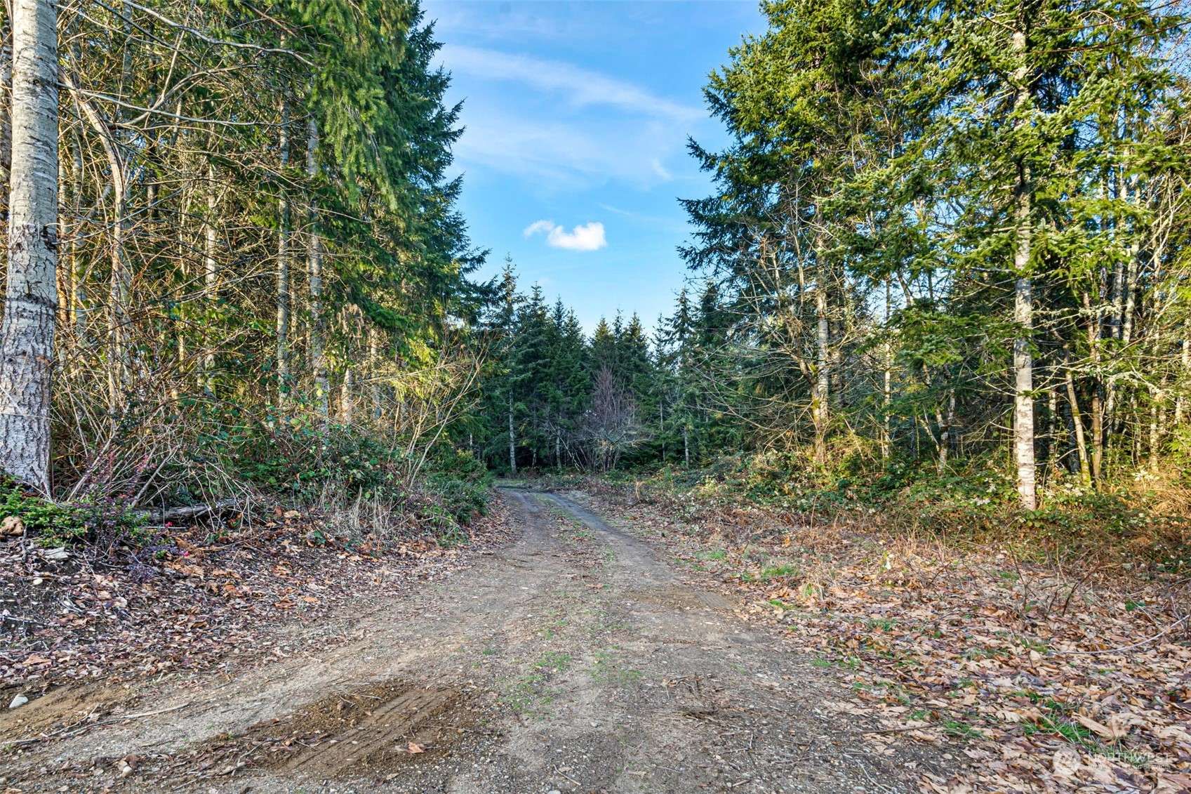 Longbranch, WA 98351,19324 46th ST NW