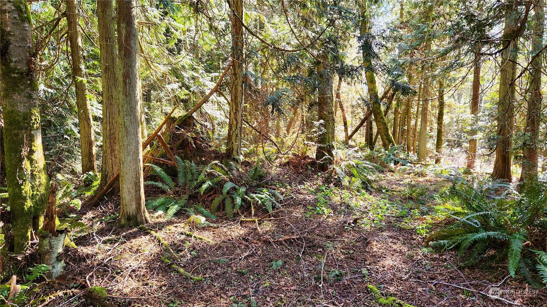 Hansville, WA 98340,0 Lot 27 Skunk Bay RD NE