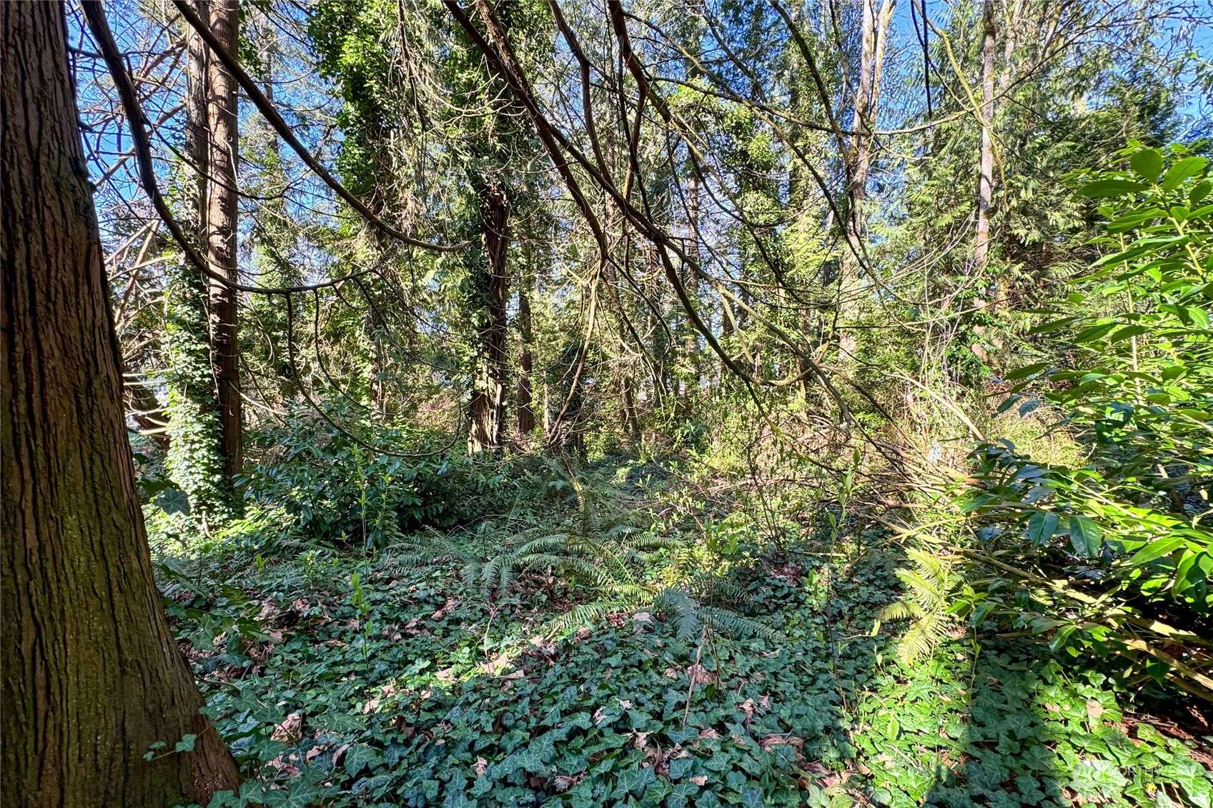 Bainbridge Island, WA 98110,0 xxx (Lot C) Lovell AVE SW