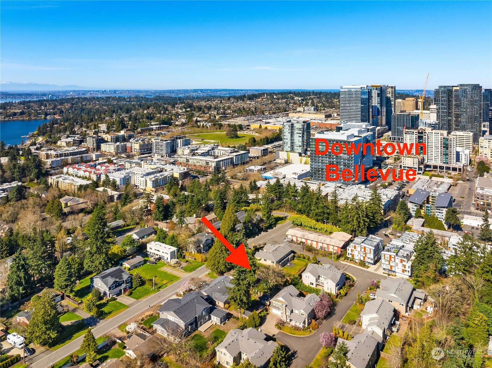 Bellevue, WA 98004,208 106th AVE SE