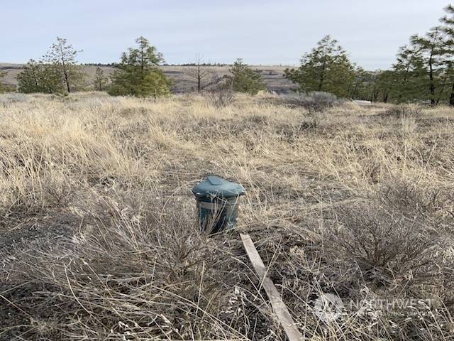 Davenport, WA 99122,31805 Ruffed Grouse E DR