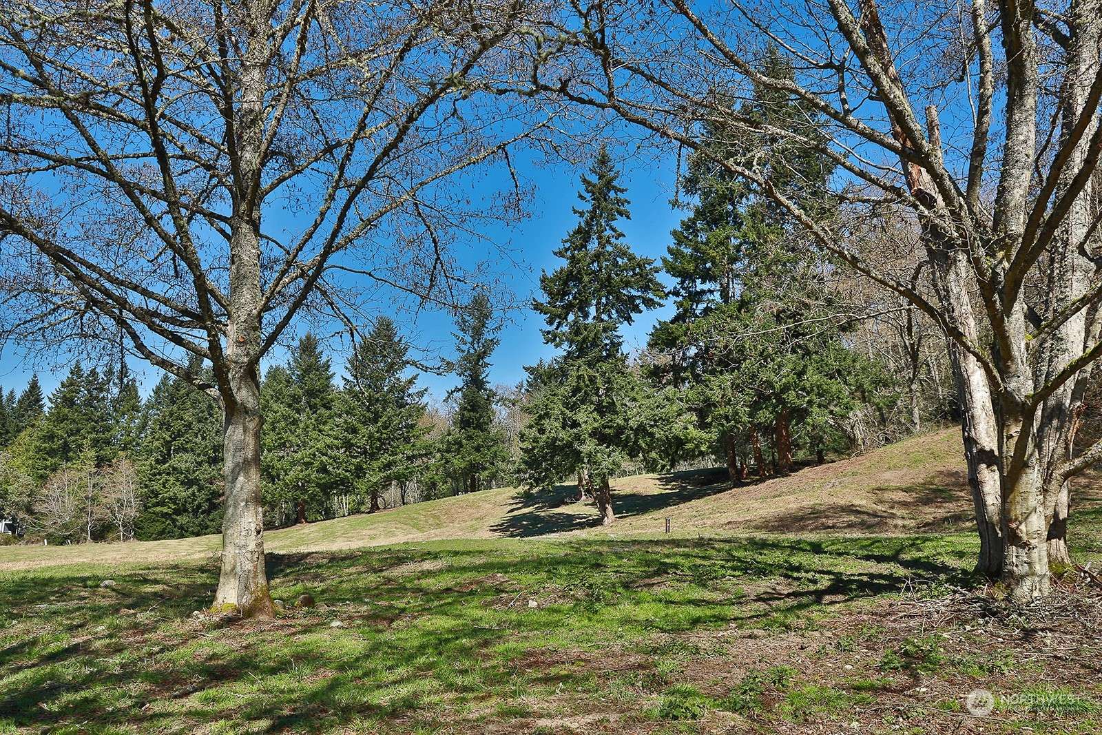 Langley, WA 98260,2903 Grimm RD