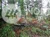 Ocean Park, WA 98640,1820 203rd LN