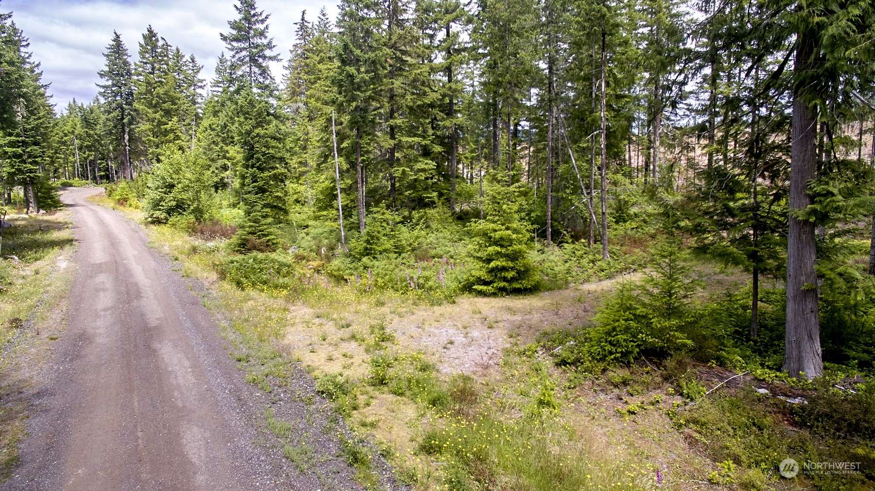 Cougar, WA 98616,1 Lodgepole LN