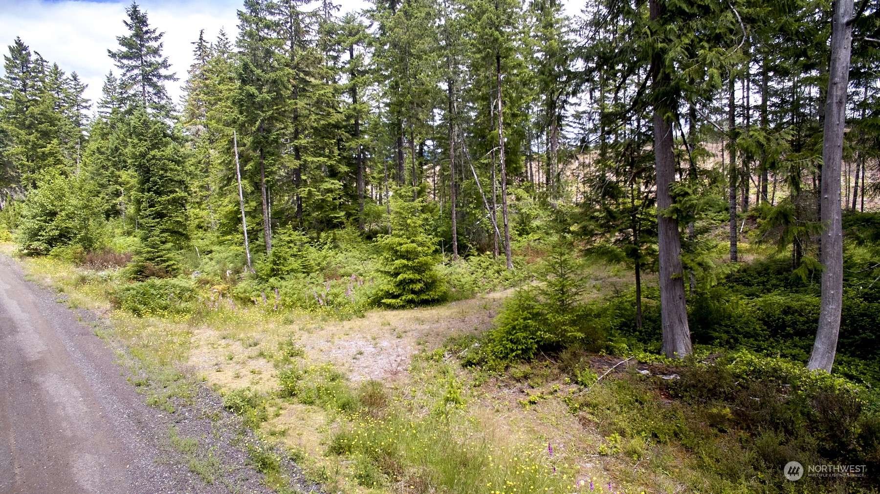 Cougar, WA 98616,1 Lodgepole LN