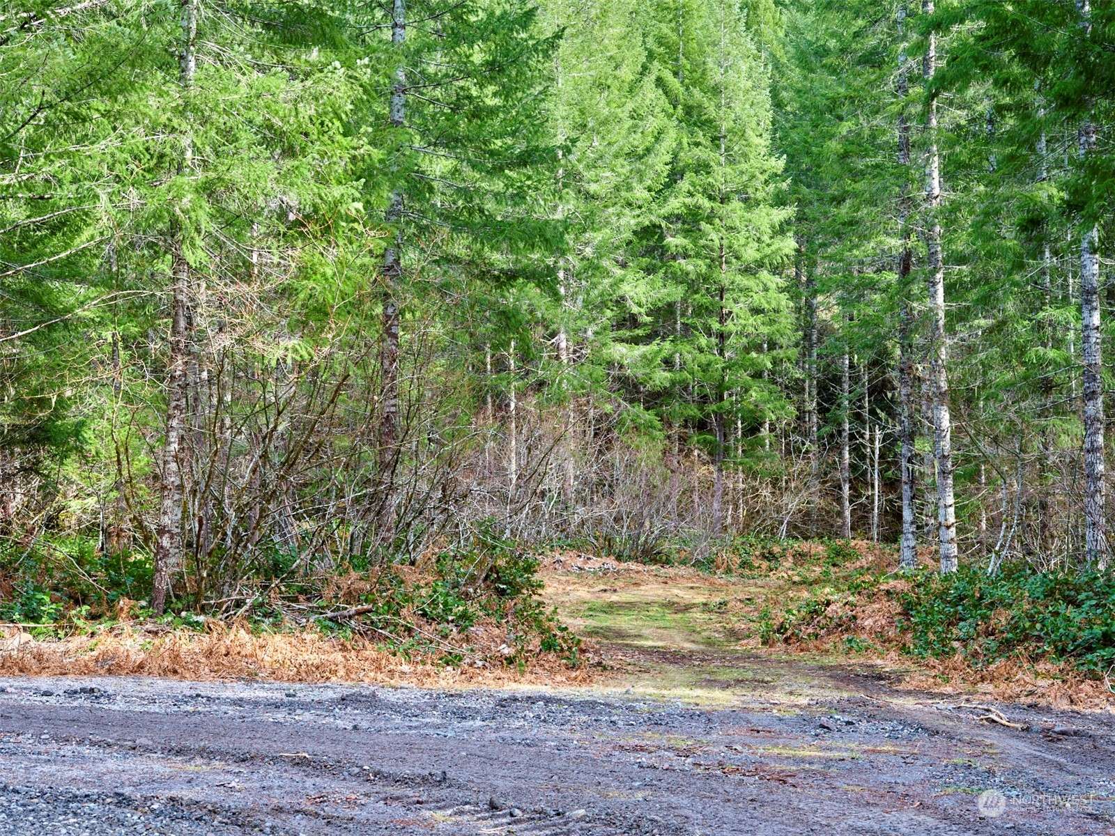 Cougar, WA 98616,3 Lahar LN