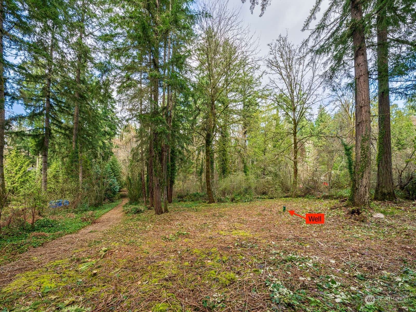 Bainbridge Island, WA 98110,0 NE North Tolo RD