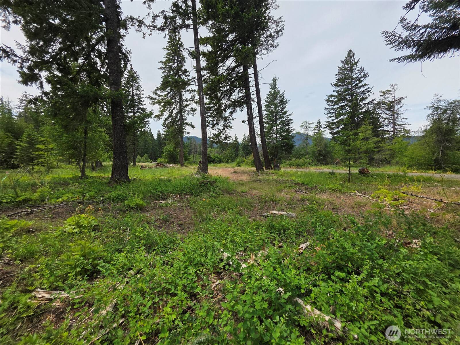 Cle Elum, WA 98922,0 NVLot 2 Nelson View WAY