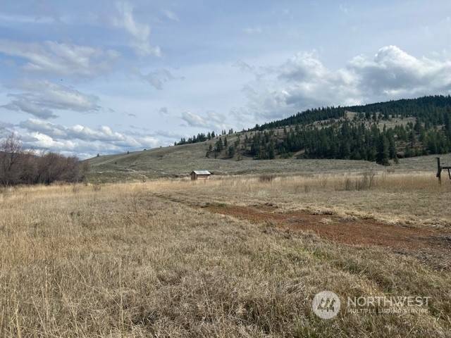 Tonasket, WA 98855,23 TBD Blue Star RD