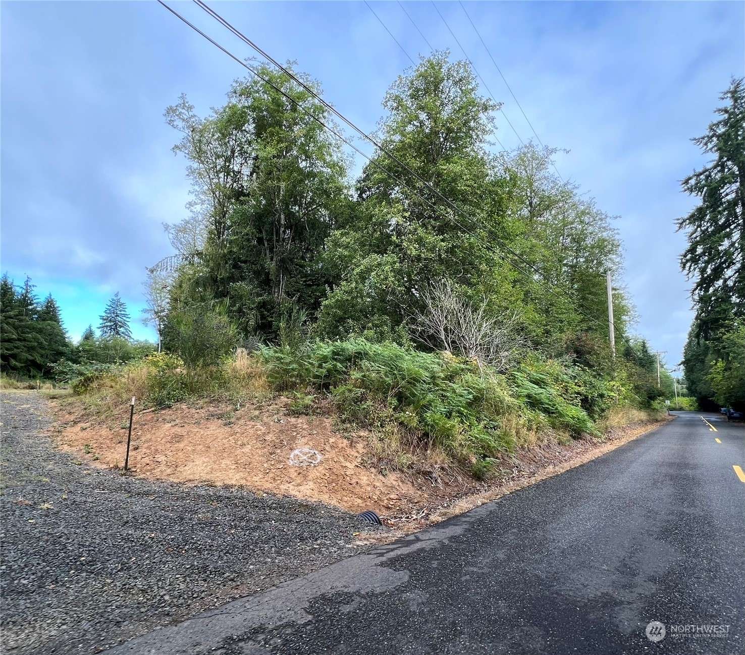 Montesano, WA 98563,0 XXX Aldergrove DR