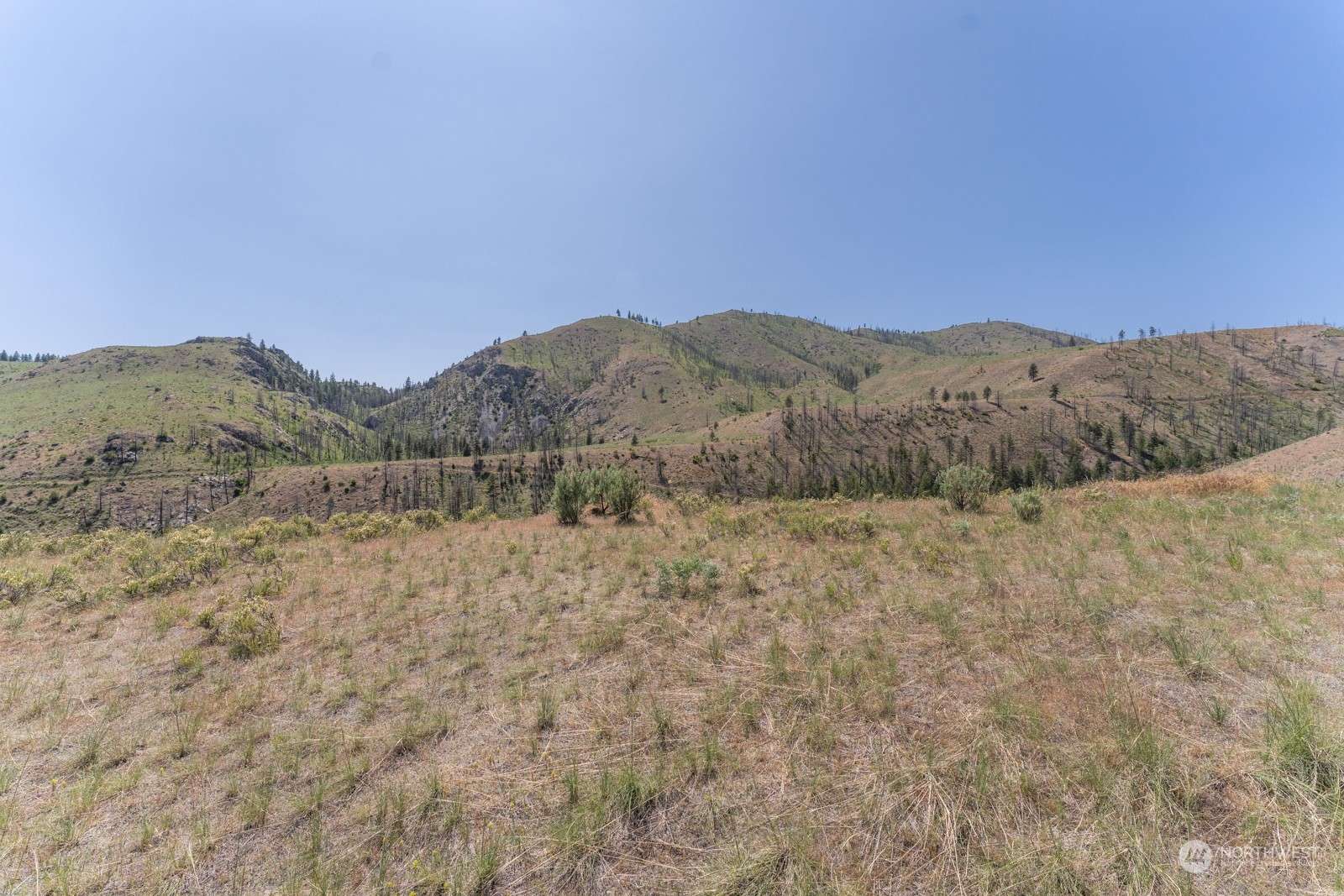 Chelan, WA 98816,2830 Antoine Creek (Lot B) RD