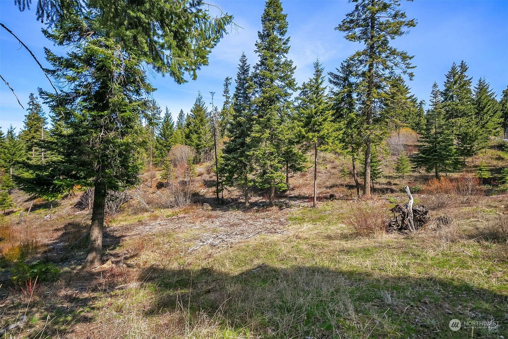 Cle Elum, WA 98922,711 Huntrick DR