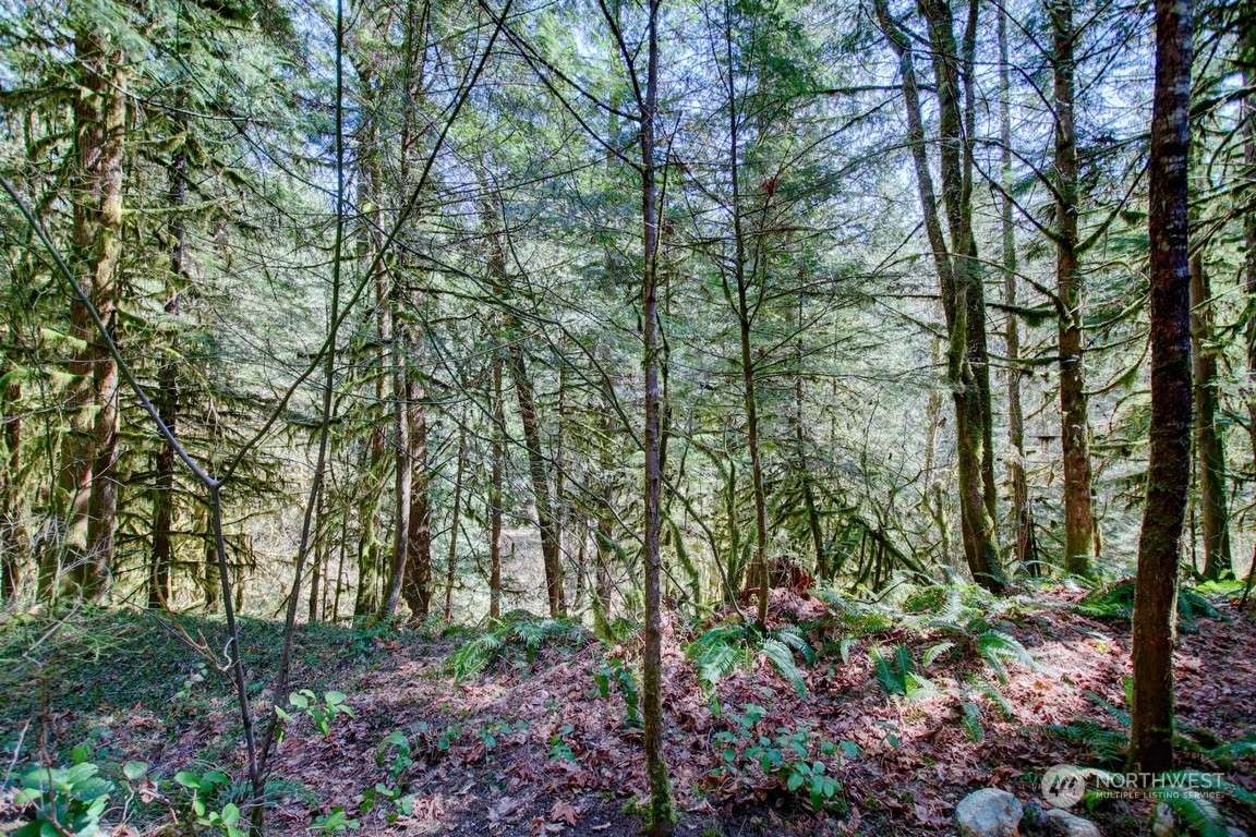 Deming, WA 98244,255 6 Schinn Canyon CT