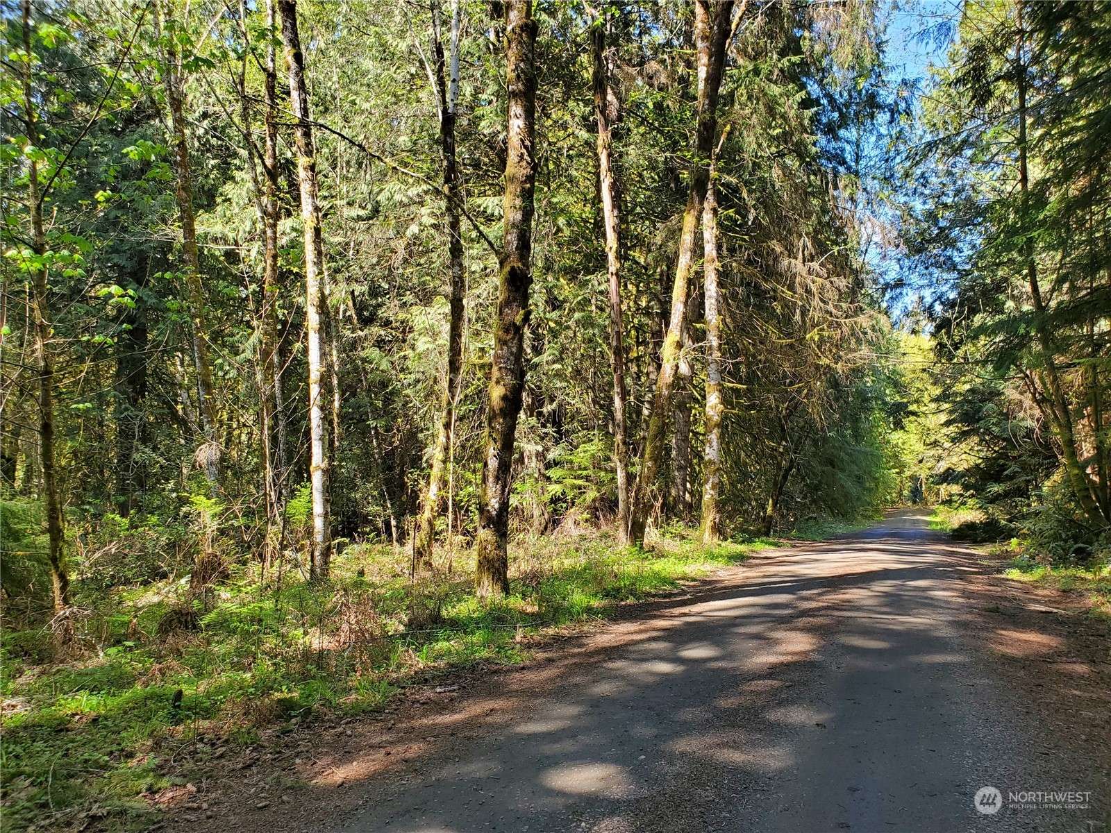 Shelton, WA 98584,0 Lot 3 SE McComb WAY