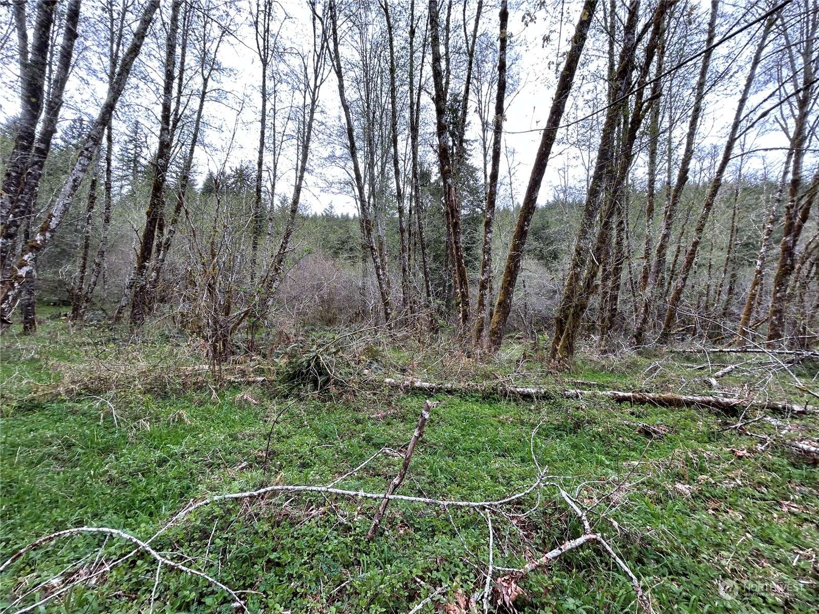 Longview, WA 98632,0 Lot 3 Abernathy Creek RD