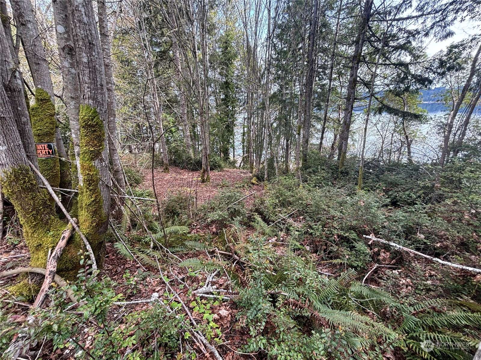 Belfair, WA 98528,0 NE North Shore (Tract 12) RD