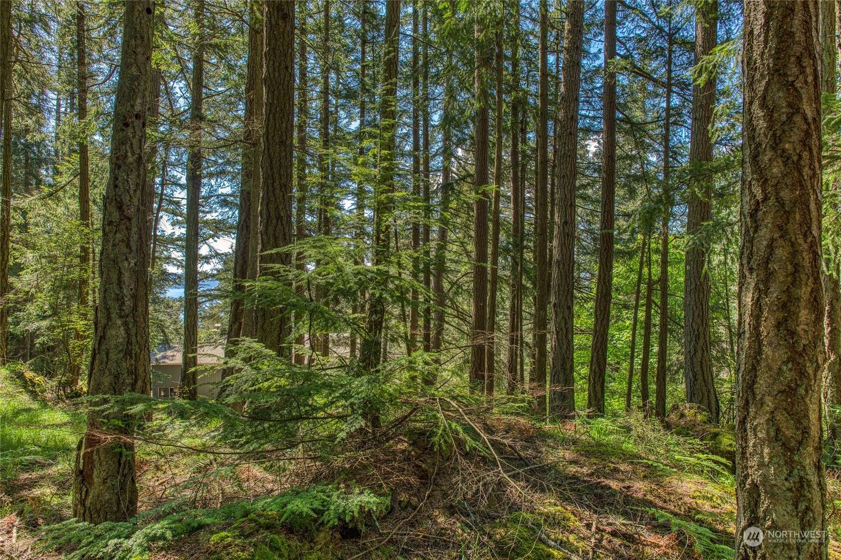 Orcas Island, WA 98245,0 Rosario RD