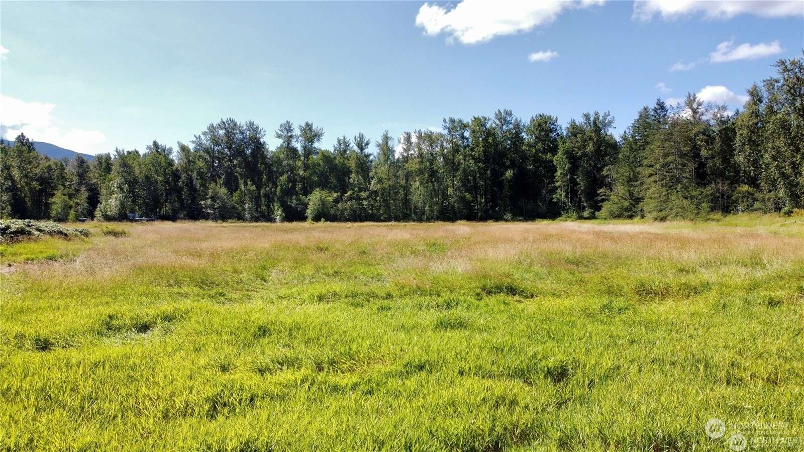 Bellingham, WA 98226,2571 E Smith RD