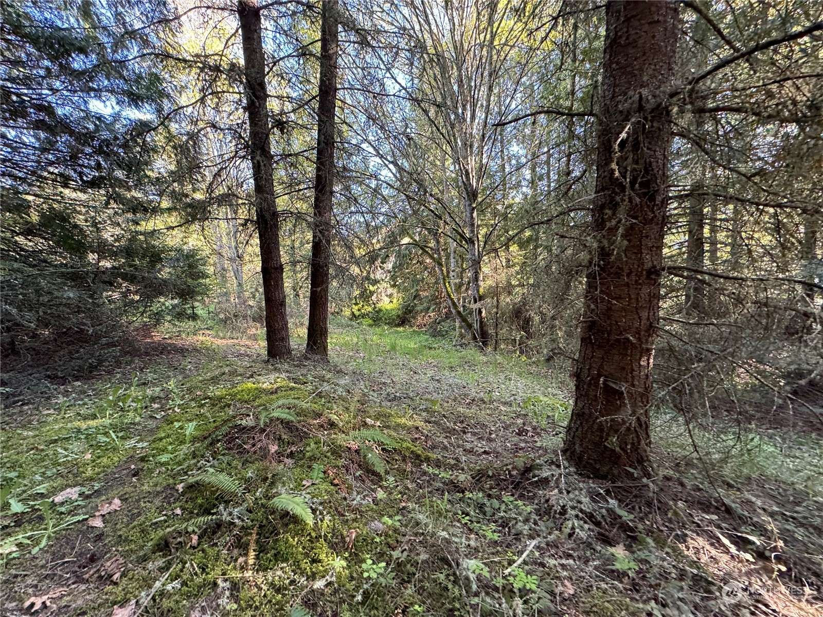 Sequim, WA 98382,0 4XX Lake of the Hills Loop