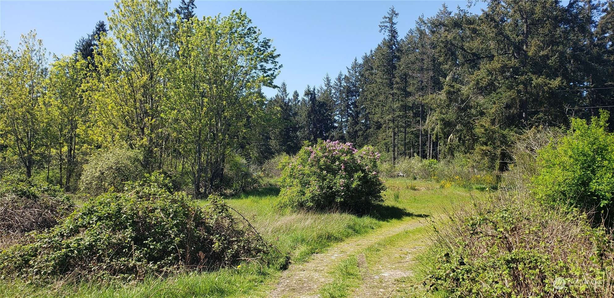 Graham, WA 98338,10010 219th Street CT E