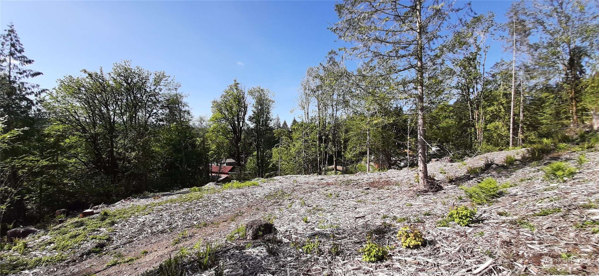 Belfair, WA 98528,131 NE WJ WAY