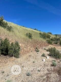 Entiat, WA 98822,9955 Griffith PL