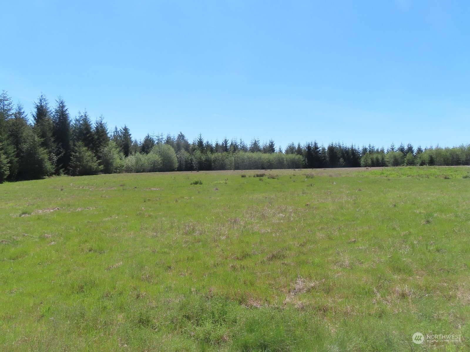 Montesano, WA 98563,0 XXX Wynooche-Wishkah RD