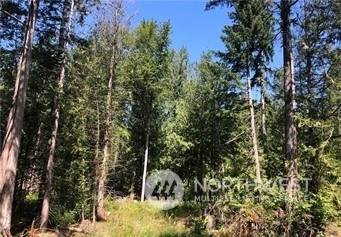 Spanaway, WA 98387,21800 70th AVE E