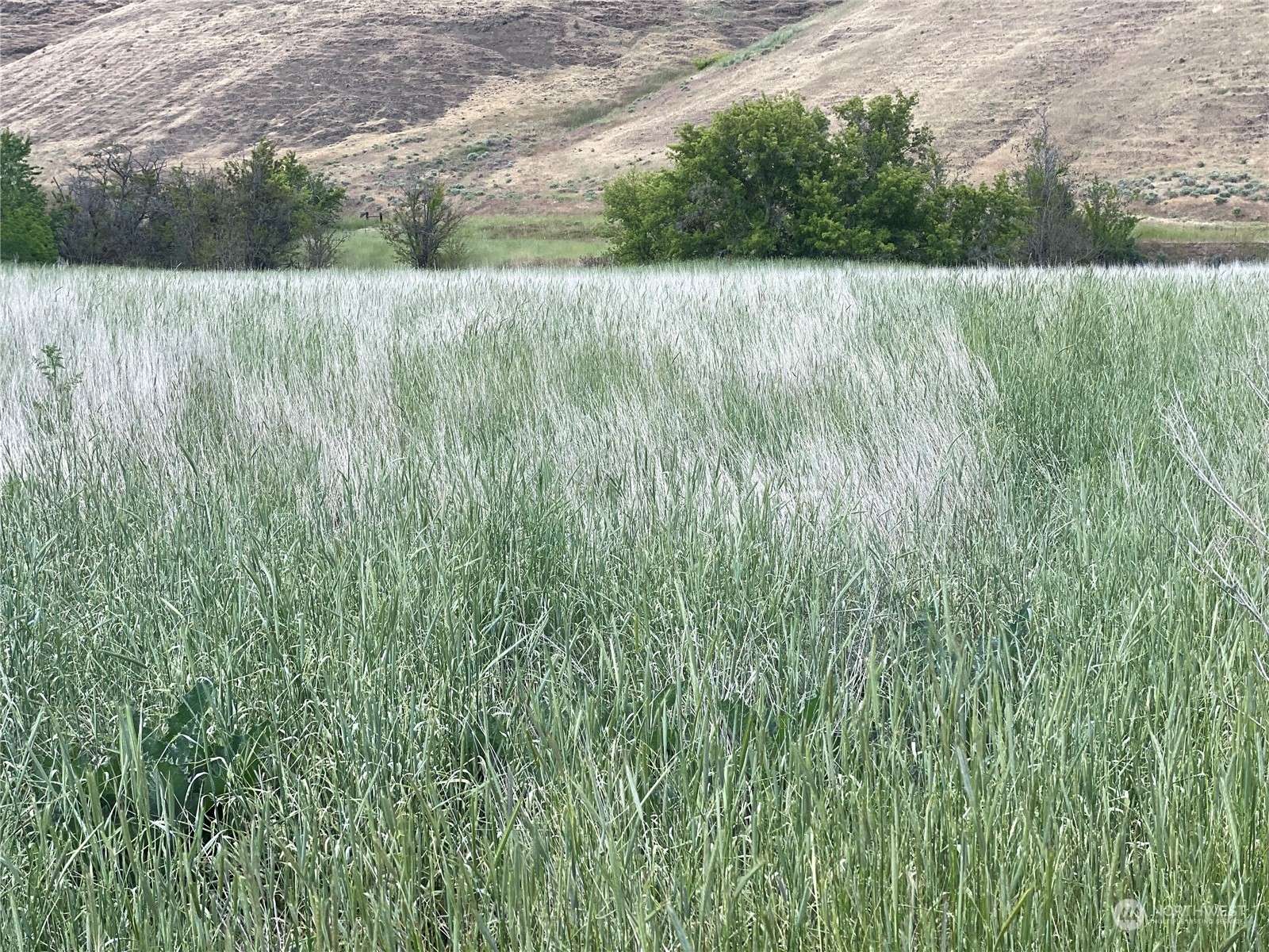 Dayton, WA 99328,0 Kellogg Hollow RD