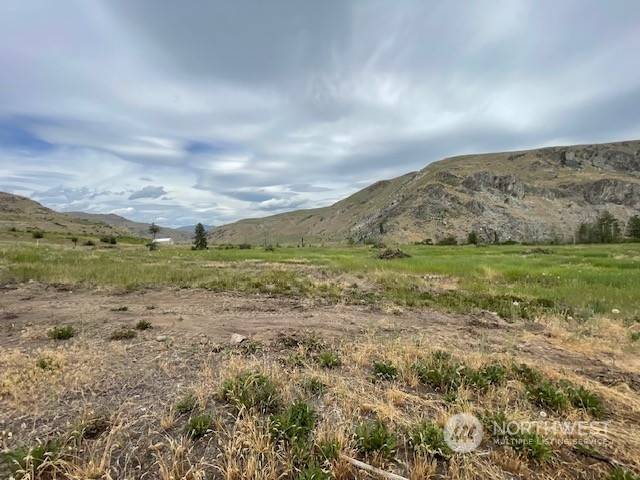 Pateros, WA 98846,0 Lot 4 Black Canyon RD