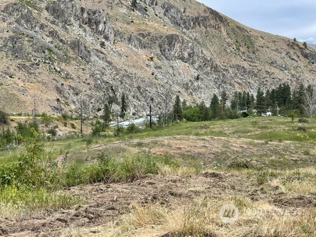 Pateros, WA 98846,0 Lot 4 Black Canyon RD