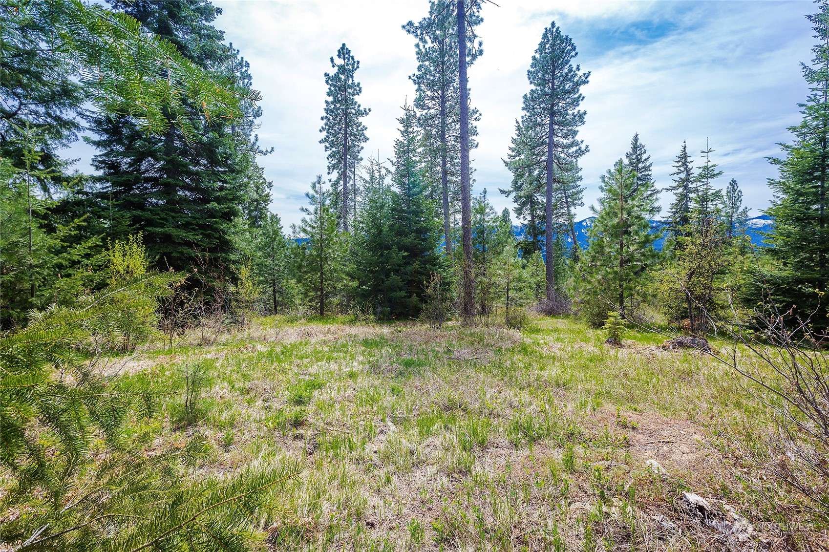 Roslyn, WA 98941,0 Lot H R&R Heights DR