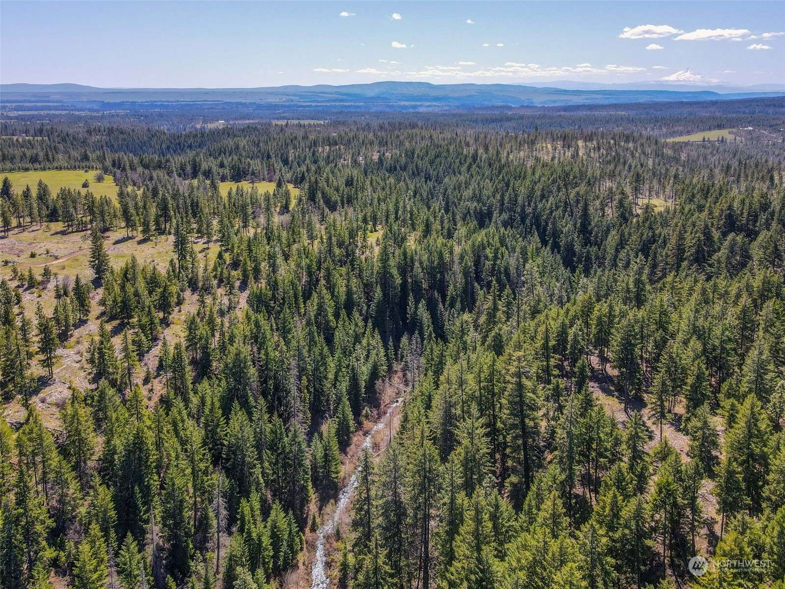 Goldendale, WA 98620,0 Lot 10 Ranger's Meadows
