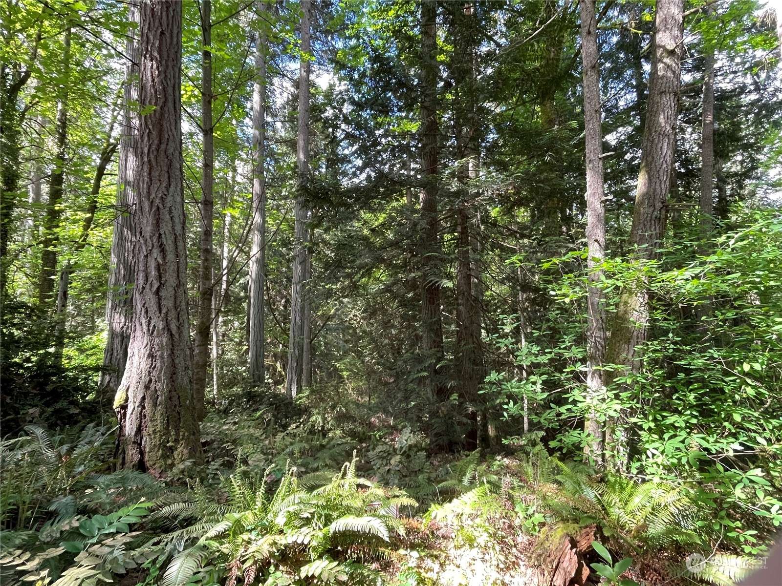 Bainbridge Island, WA 98110,0 Lot 2 NE Sanwick PL