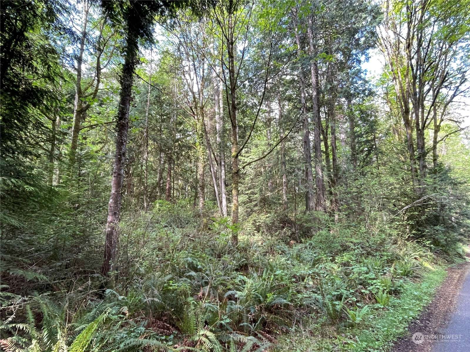 Bainbridge Island, WA 98110,0 Lot 4 NE Sanwick PL