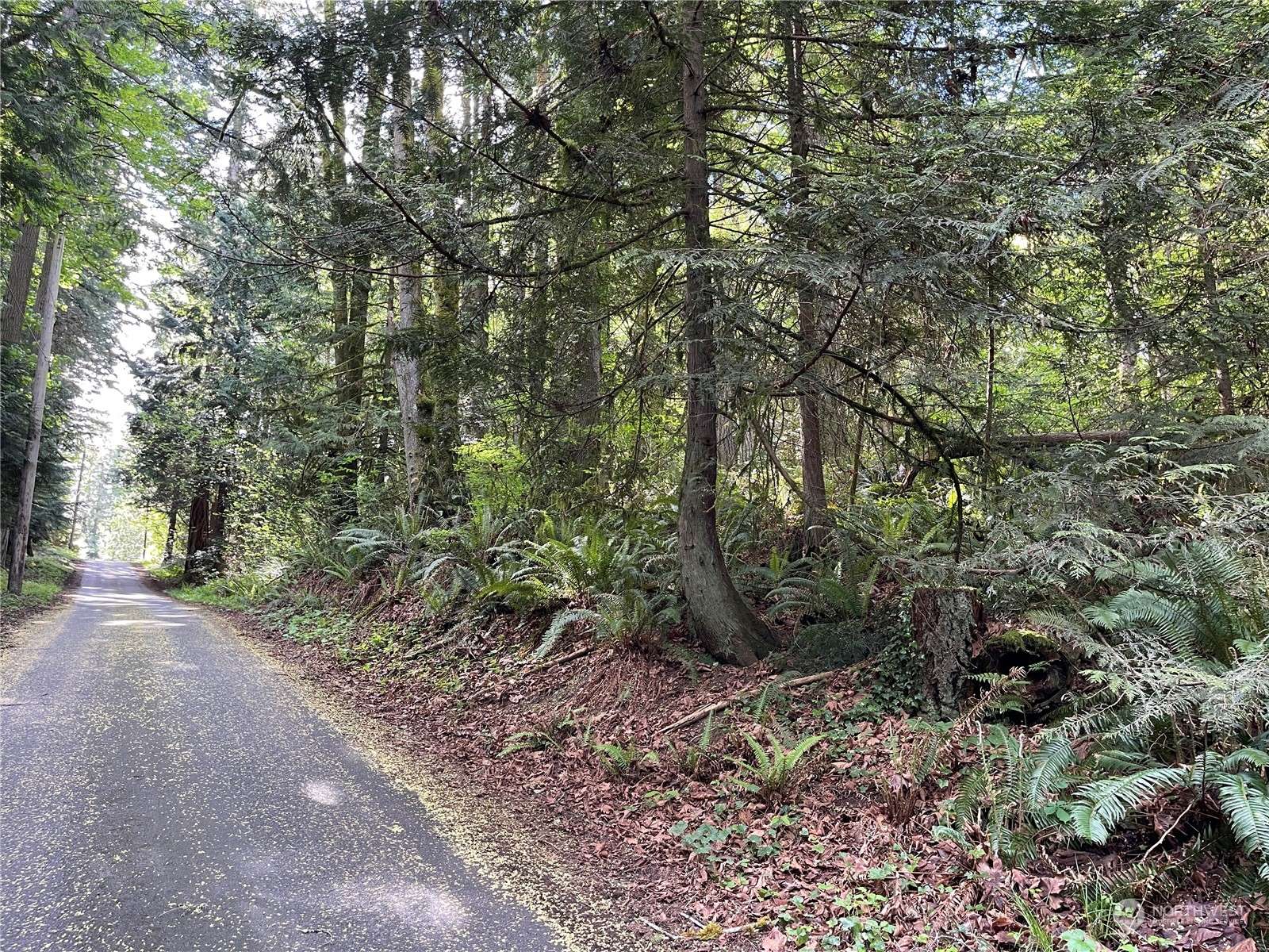 Bainbridge Island, WA 98110,0 Lot 5 NE Sanwick PL