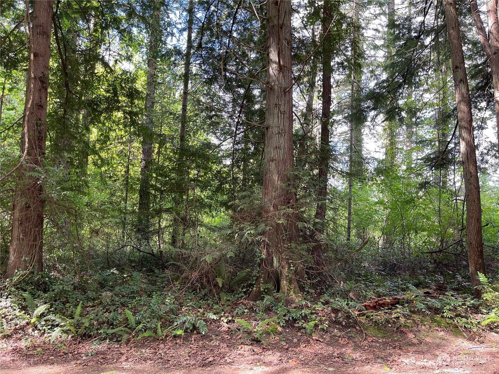 Bainbridge Island, WA 98110,0 Lot 8 NE Sanwick PL