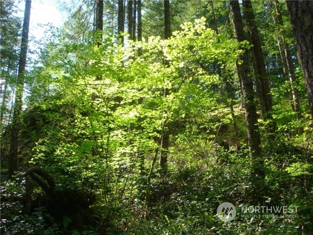 Hoodsport, WA 98548,16 WS1 Blk 3 Lot 16B