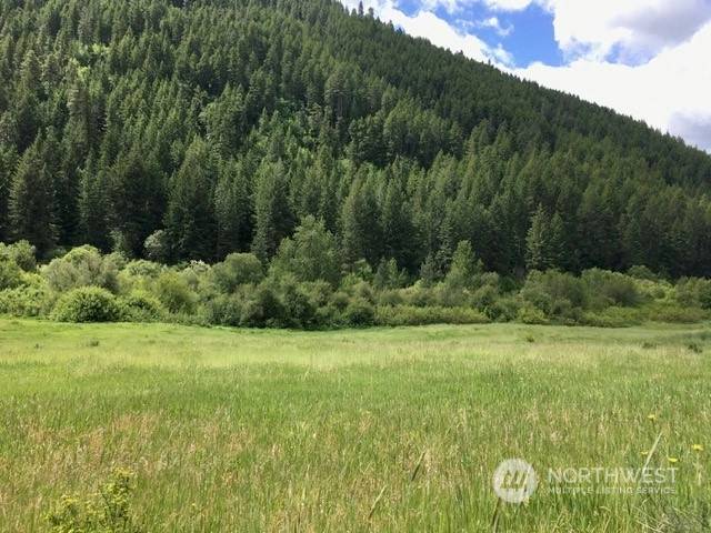 Leavenworth, WA 98826,10499 Eagle Creek RD