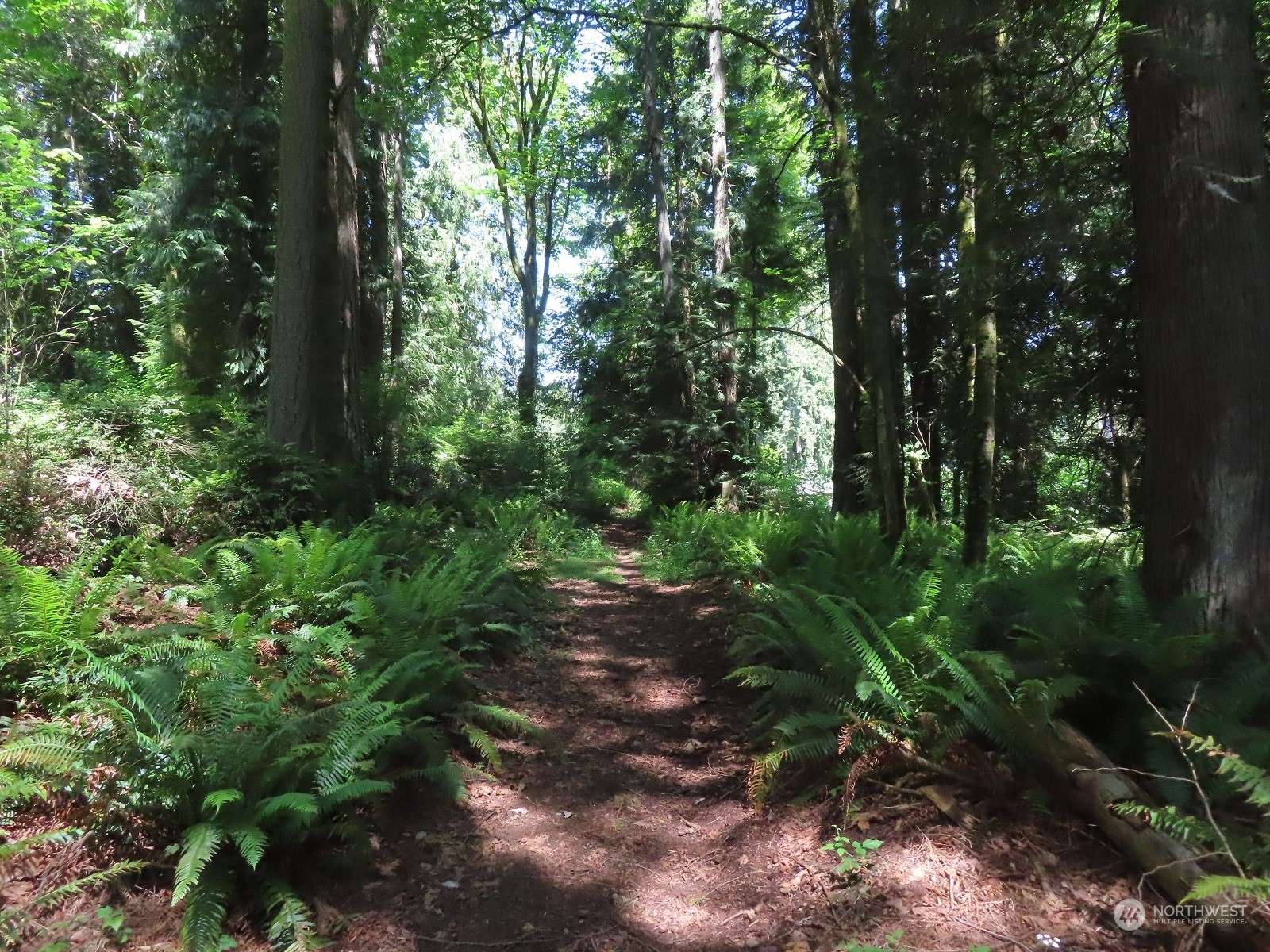 Bremerton, WA 98310,0 XXX Dogwood DR NE