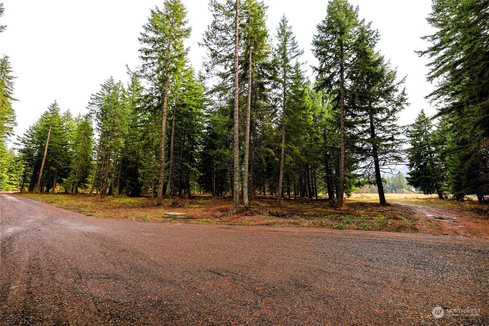 Cle Elum, WA 98922,0 NVLot 3 Nelson View WAY